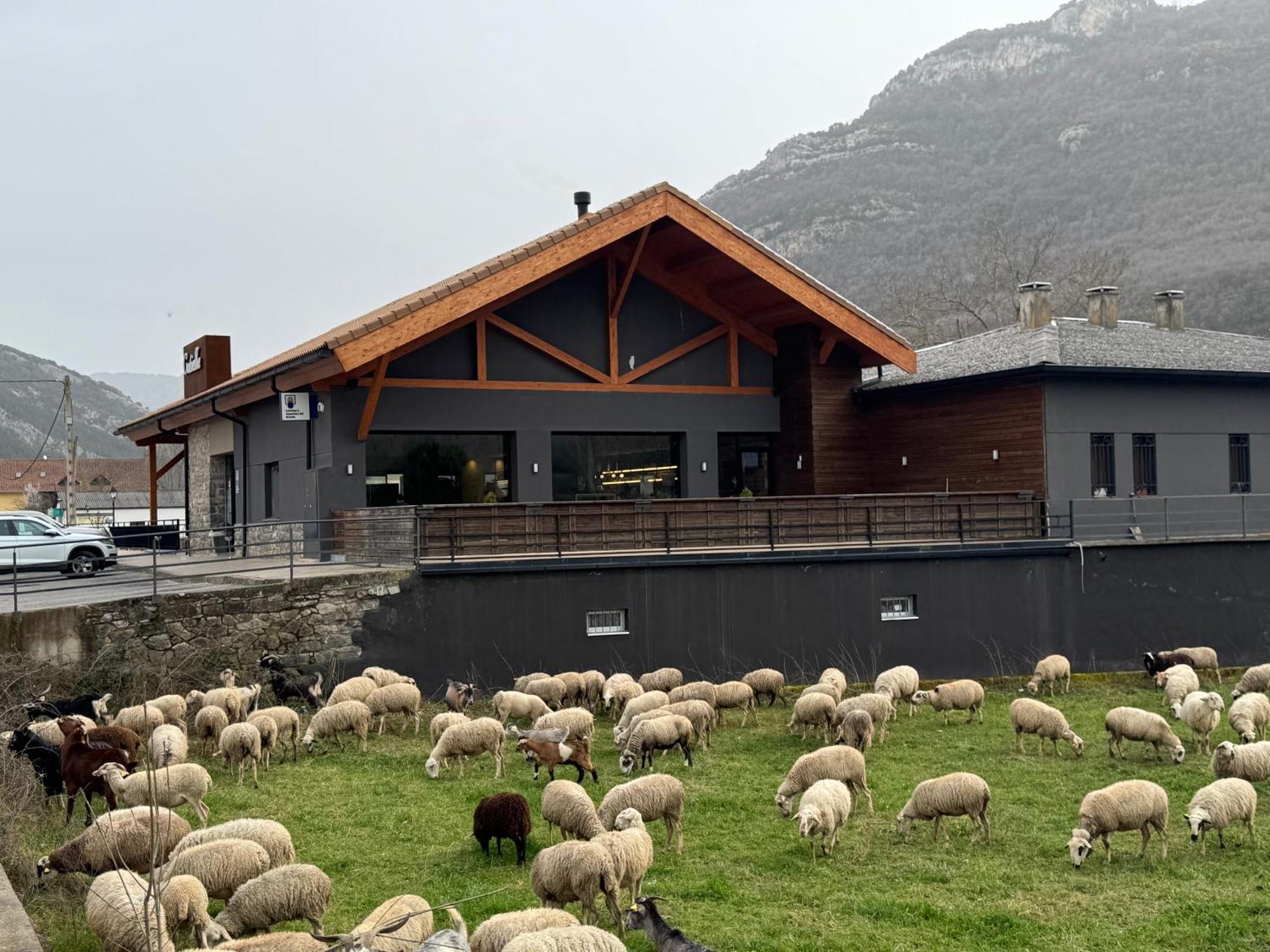 Hotel Cotiella Campo  Exteriér fotografie